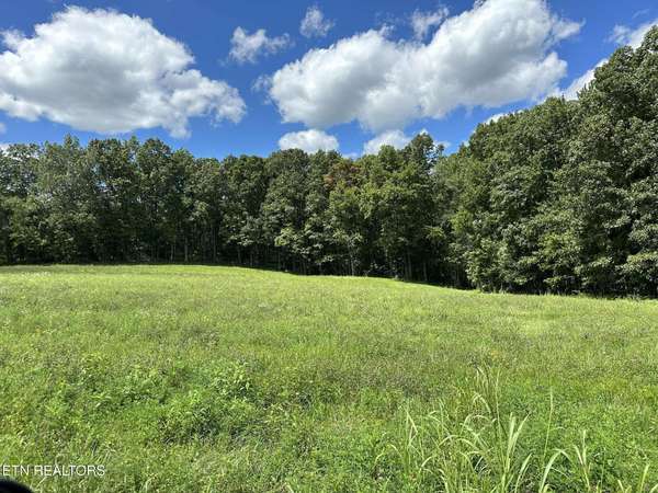 0 Smith Mountain Rd, Rockwood, TN 37854