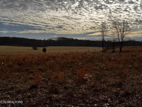 0 Smith Mountain Rd, Rockwood, TN 37854