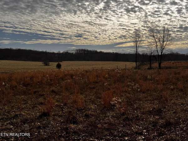 0 Smith Mountain Rd, Rockwood, TN 37854