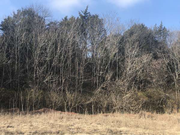 433 Old Hickory Blvd, Antioch, TN 37013