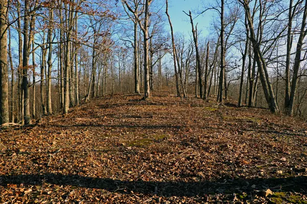 0 Ridge Top Rd, Stewart, TN 37175