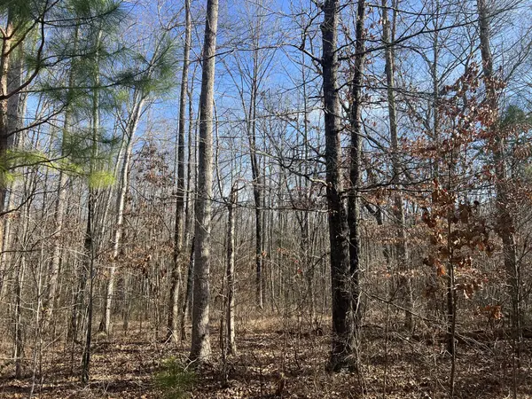 240 War Eagle Dr Lot 121, Cedar Grove, TN 38321