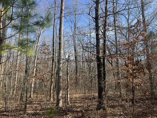 240 War Eagle Dr, Cedar Grove, TN 38321