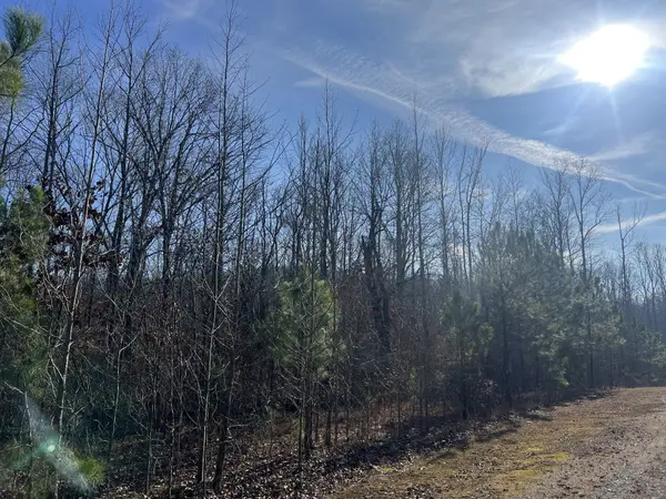 240 War Eagle Dr Lot 121, Cedar Grove, TN 38321