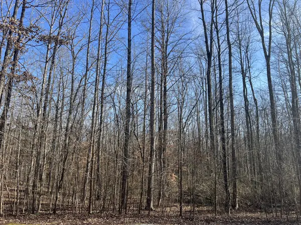 240 War Eagle Dr Lot 121, Cedar Grove, TN 38321