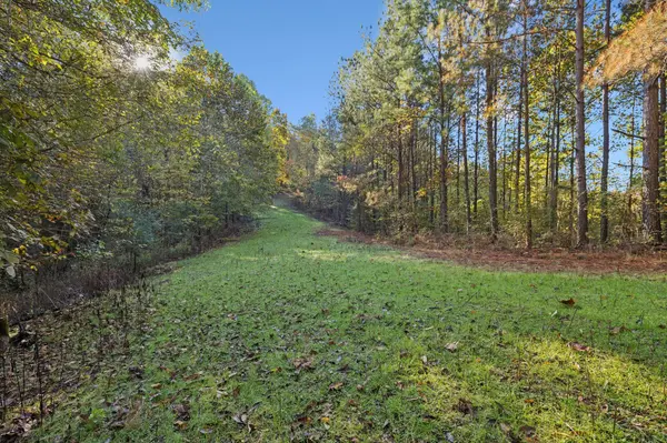 0 W Sheepneck Rd, Mount Pleasant, TN 38474