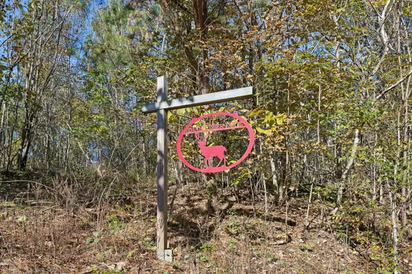 0 W Sheepneck Rd, Mount Pleasant, TN 38474