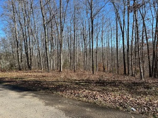 6 Slaughter Rd, Primm Springs, TN 38476