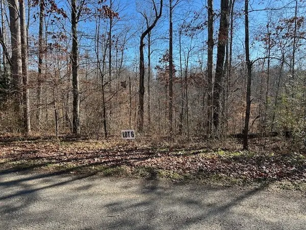 6 Slaughter Rd, Primm Springs, TN 38476