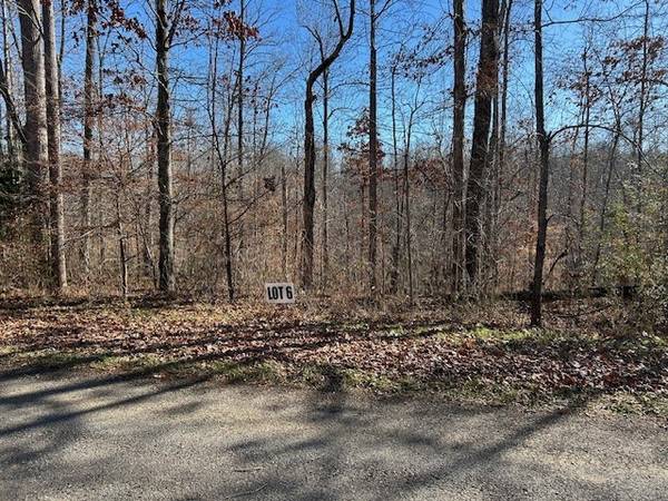 6 Slaughter Rd, Primm Springs, TN 38476
