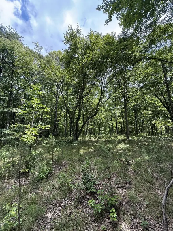 6 Greenfields Way #N, Dunlap, TN 37327
