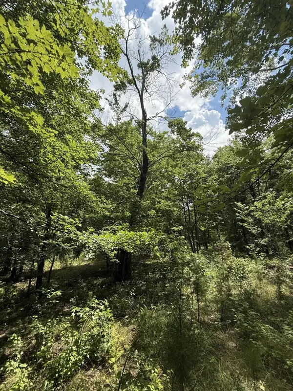 6 Greenfields Way #N, Dunlap, TN 37327