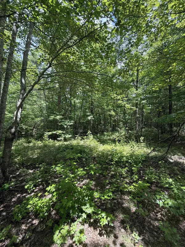 6 Greenfields Way #N, Dunlap, TN 37327