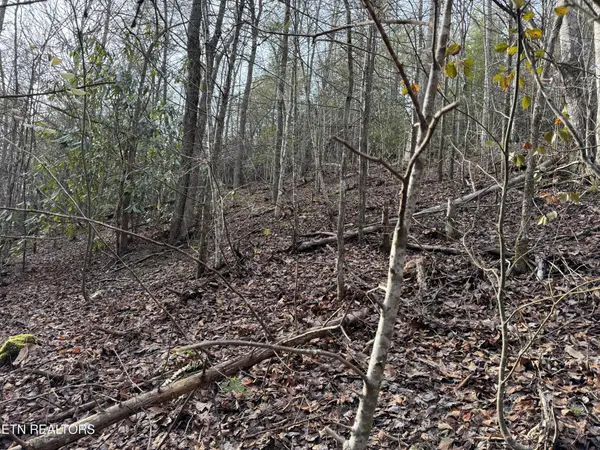 0 Black Gum Rd, Gatlinburg, TN 37738