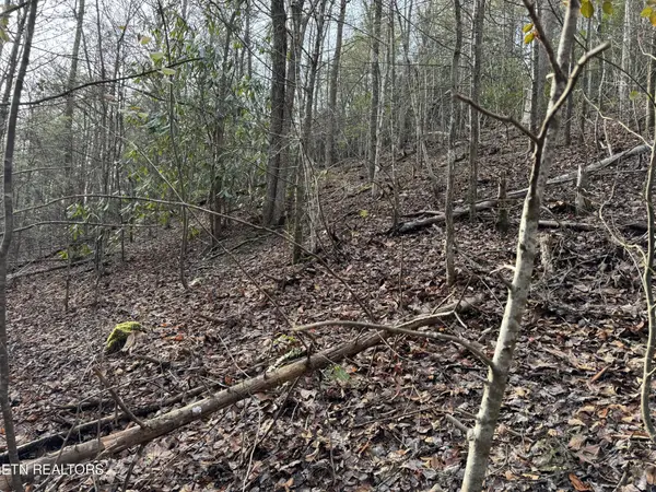 0 Black Gum Rd, Gatlinburg, TN 37738