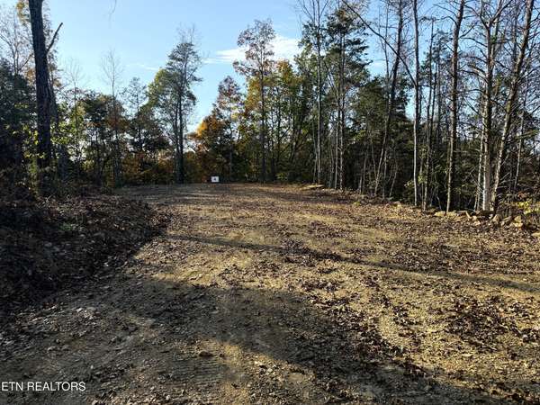 4 Topaz Way, Parrottsville, TN 37843