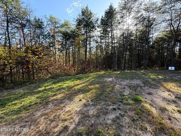 13 Topaz Way, Parrottsville, TN 37843
