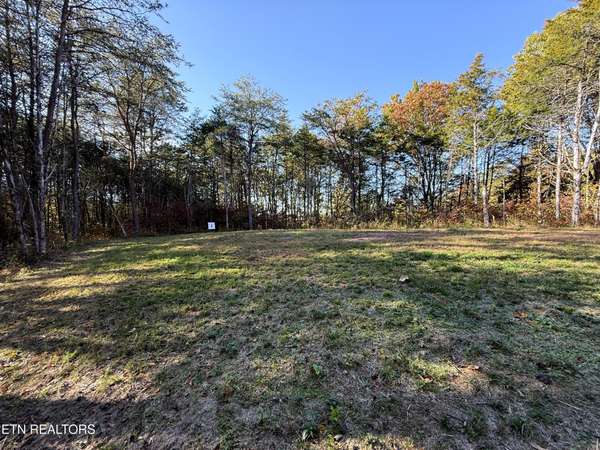 13 Topaz Way, Parrottsville, TN 37843