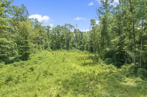 0 Holladay Rd, Parsons, TN 38363