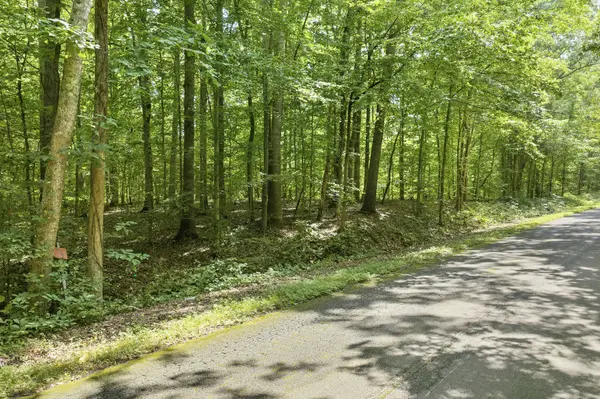 0 Holladay Rd, Parsons, TN 38363