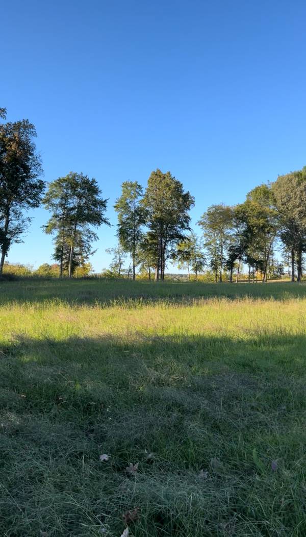 5335 Cravens Rd, Savannah, TN 38372