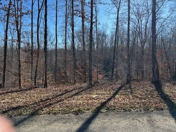 7 Slaughter Rd #N, Primm Springs, TN 38476