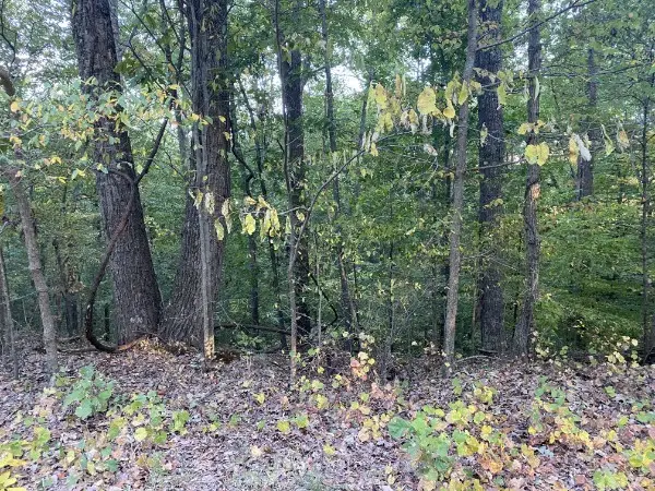 1241 Broadway Ave, New Johnsonville, TN 37134