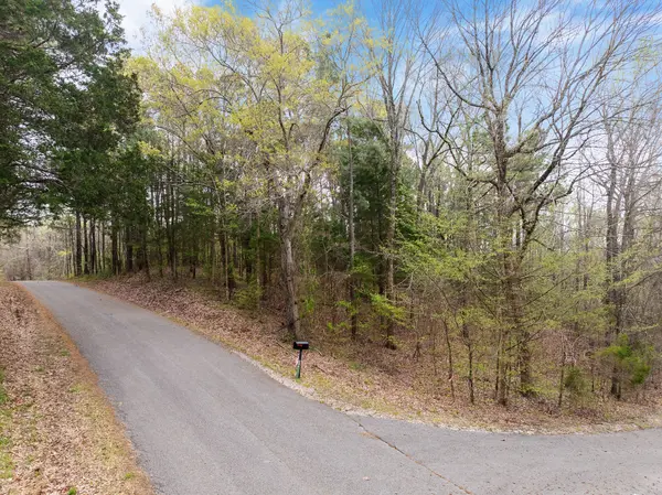 0 Branch Loop, Big Sandy, TN 38221
