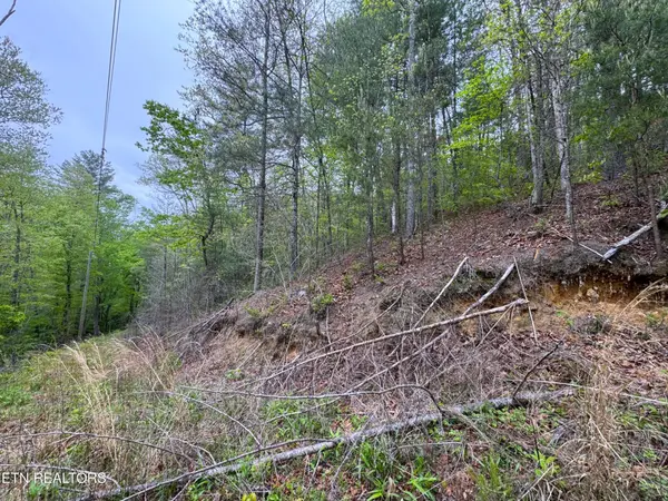 376 Summer House Hollow Rd, Del Rio, TN 37727