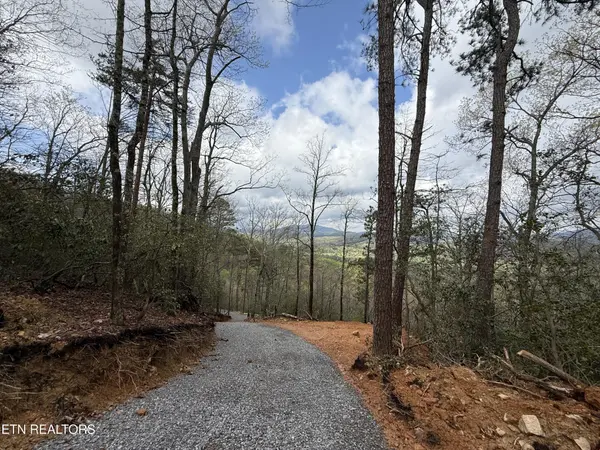 393 Green Forest Rd, Cosby, TN 37722