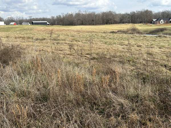 0 Thomasville Road, Chapmansboro, TN 37035