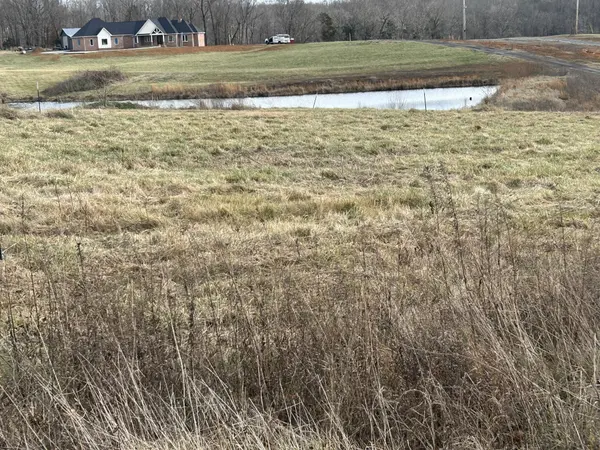0 Thomasville Road, Chapmansboro, TN 37035