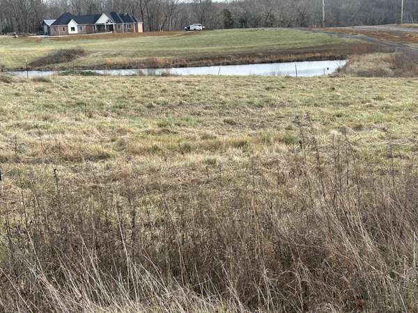 0 Thomasville Road, Chapmansboro, TN 37035