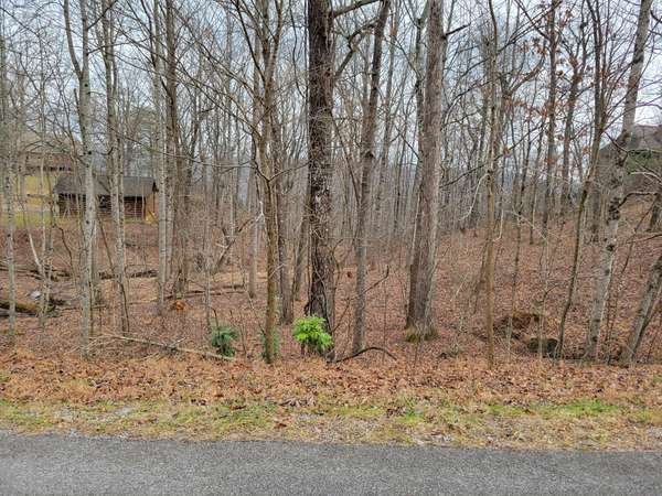 23 Laurel Lake Drive, Monteagle, TN 37356