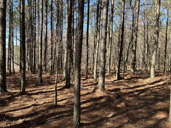 4210 Raulston Fls Road, Jasper, TN 37347