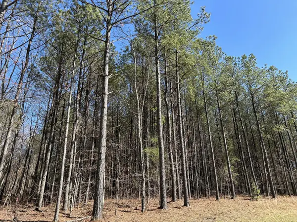 4210 Raulston Fls Road, Jasper, TN 37347