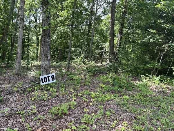 9 Slaughter Rd, Primm Springs, TN 38476