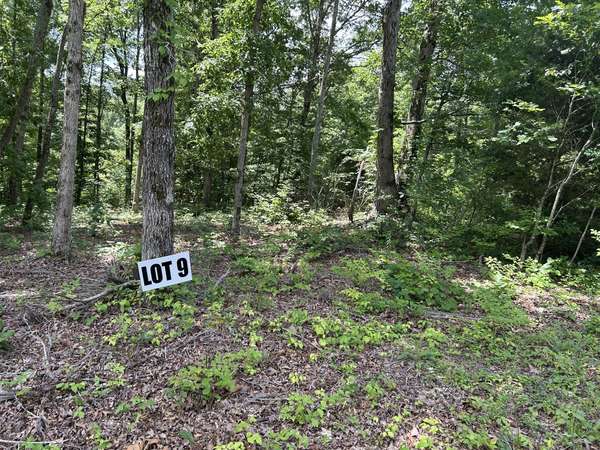 9 Slaughter Rd, Primm Springs, TN 38476