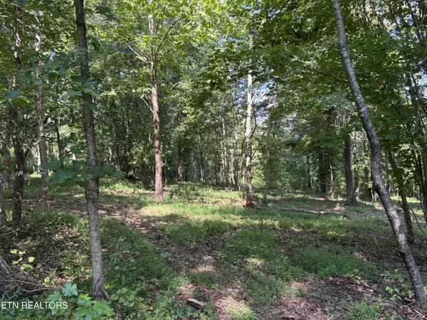 371 Walking Horse Tr, Rockwood, TN 37854