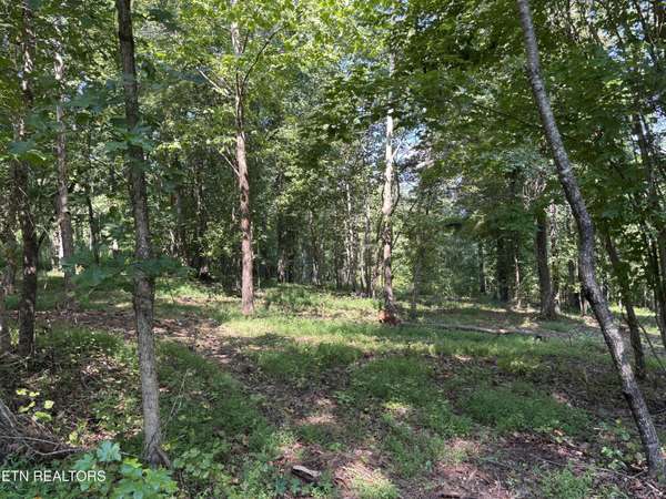 371 Walking Horse Tr, Rockwood, TN 37854