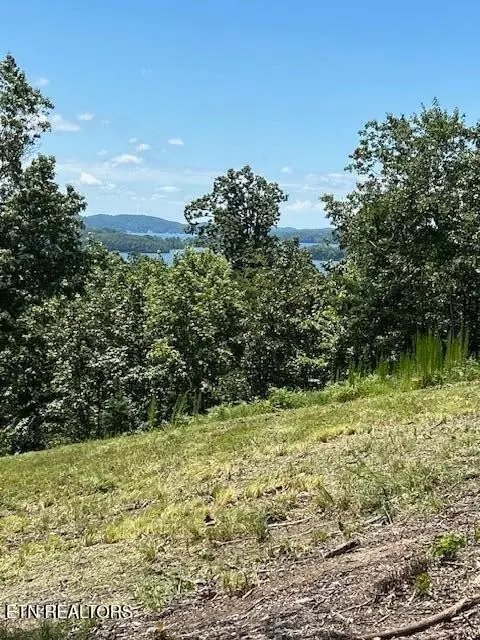 0 W Mountain Drive, Rockwood, TN 37854