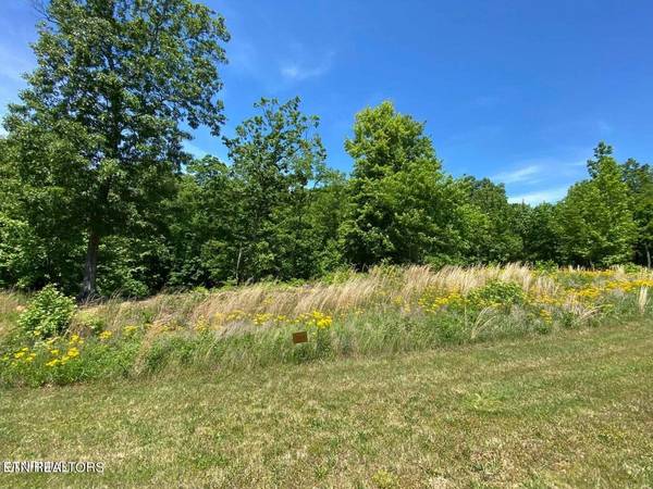 0 Water View Drive, Rockwood, TN 37854