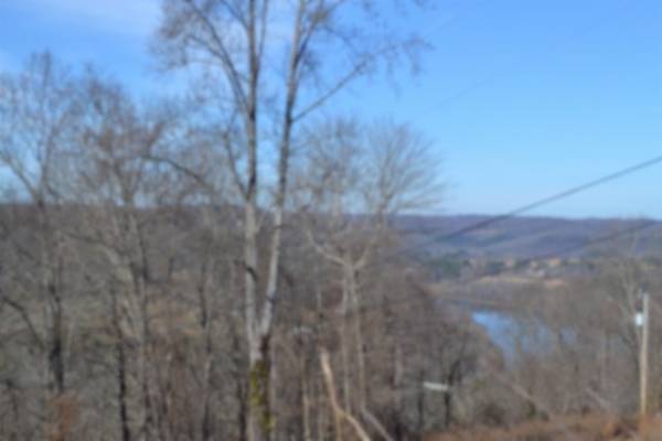 0 Schelley Rd, Gainesboro, TN 38562