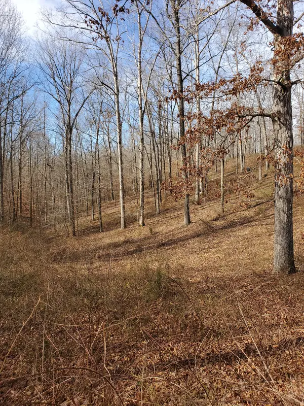 0 Hidden Highlands Ct, Mc Ewen, TN 37101