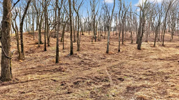 2955 Bostic Rd, Nolensville, TN 37135
