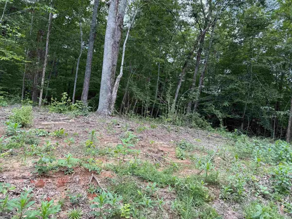 0 Hwy 69, Savannah, TN 38372