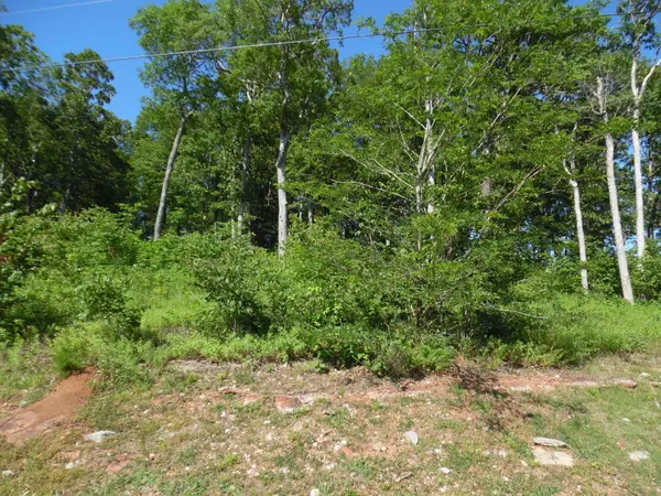 0 ADAM LOOP, Bath Springs, TN 38311