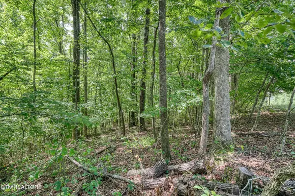 0 Creek Drive, Monterey, TN 38574