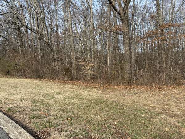 0 Hunters Landing Drive, Manchester, TN 37355
