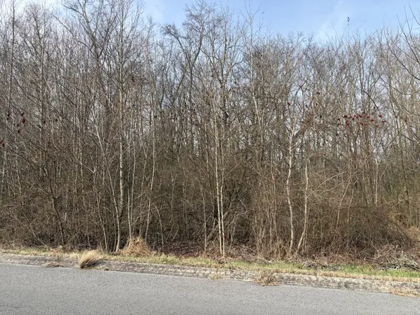 0 Hunters Landing Drive, Manchester, TN 37355
